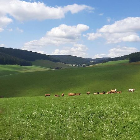 Haus Zum Sternen Leilighet Vöhrenbach Eksteriør bilde