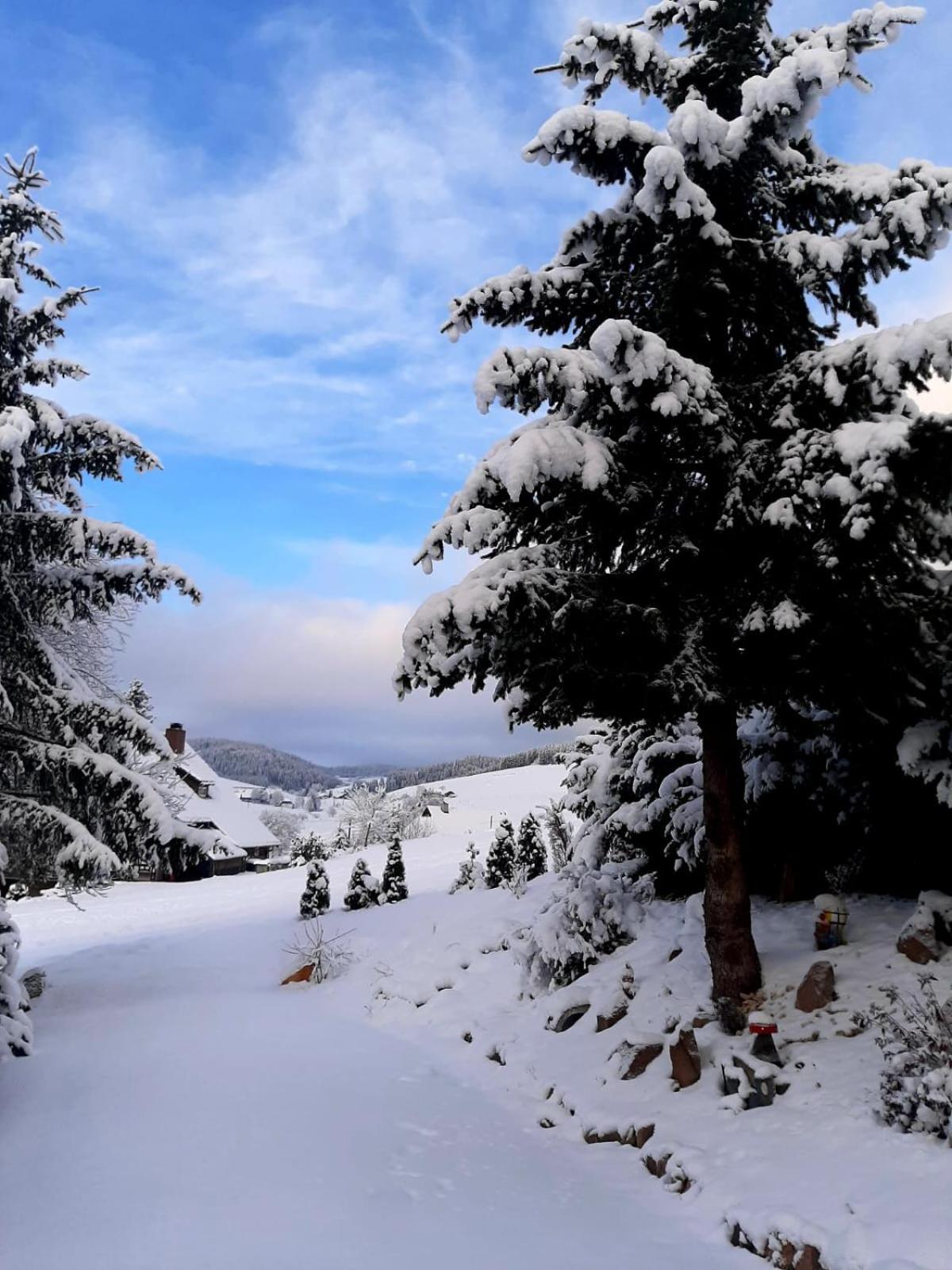 Haus Zum Sternen Leilighet Vöhrenbach Eksteriør bilde