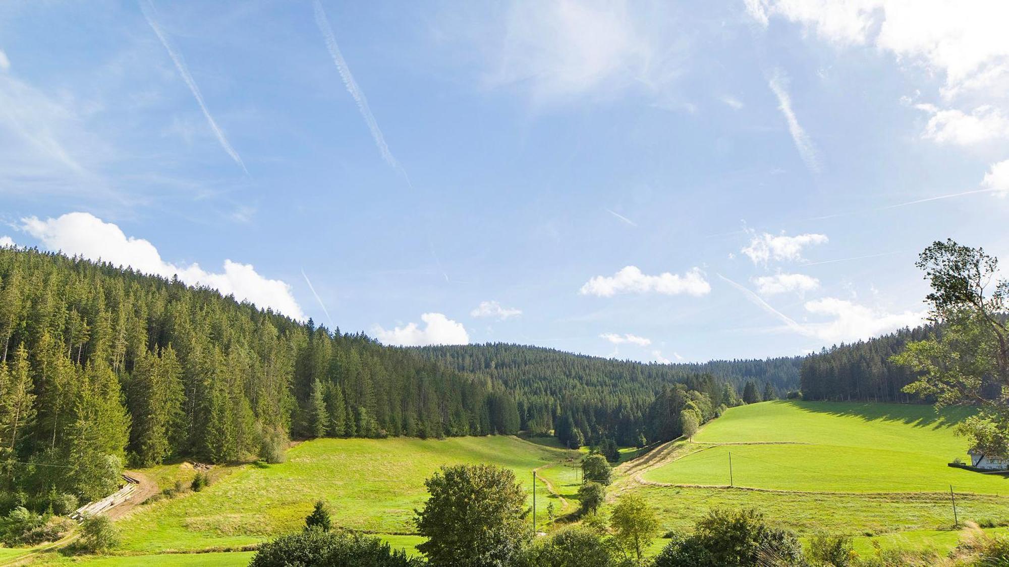 Haus Zum Sternen Leilighet Vöhrenbach Eksteriør bilde